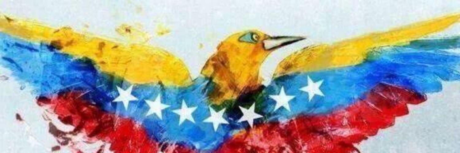 caracucha's profile banner image