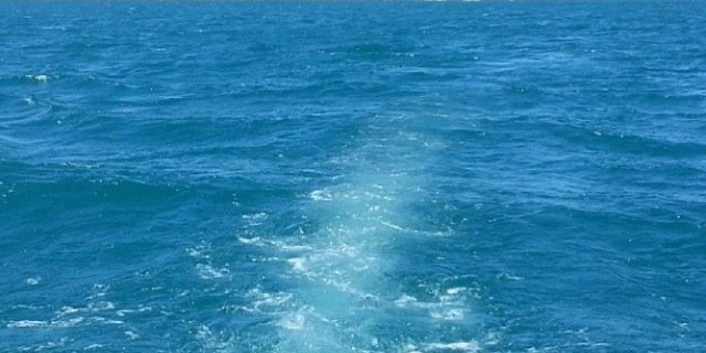 Dns_wi2's profile banner image