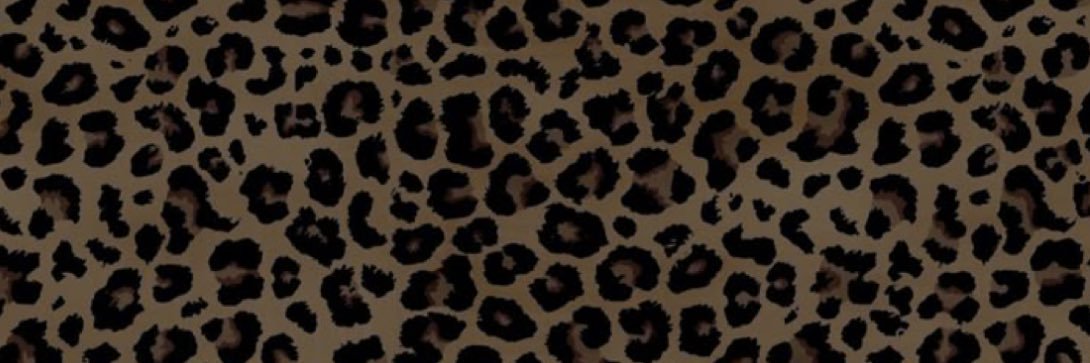 rainerainerj's profile banner image
