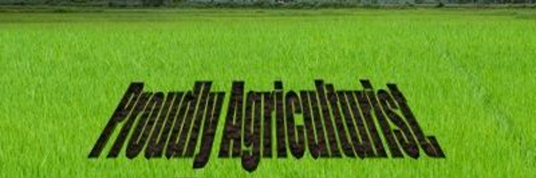 US_Salihu's profile banner image
