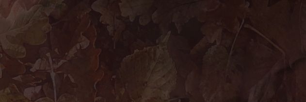 3rdisland's profile banner image