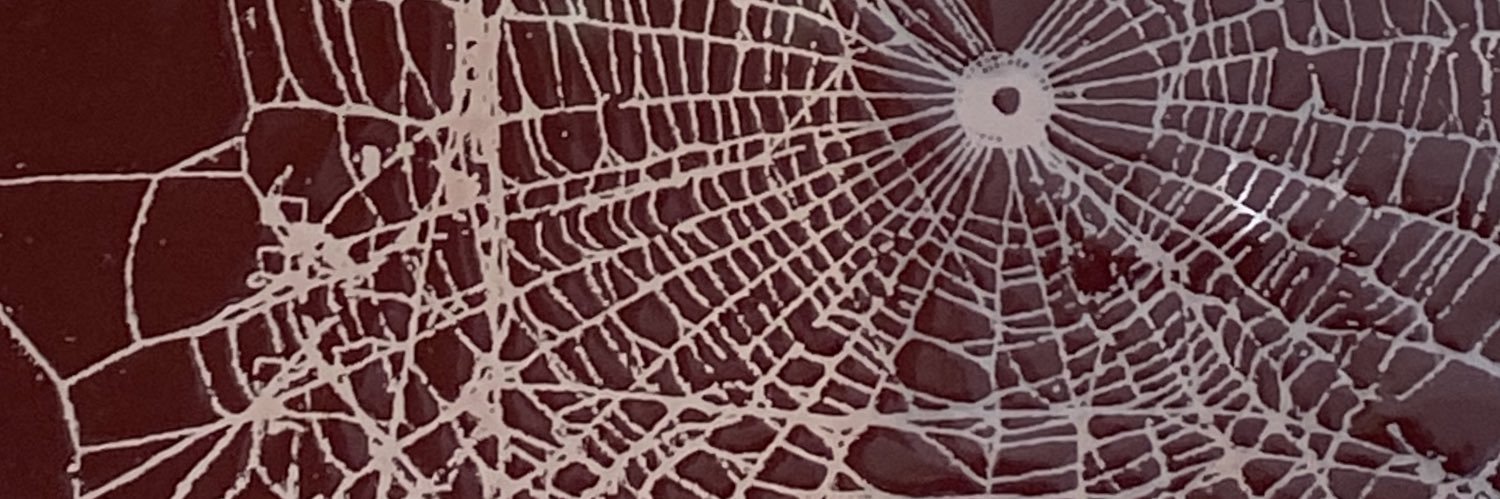 🕸️ oh no, M.S. 🕸️ banner