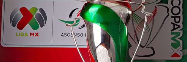 R banner