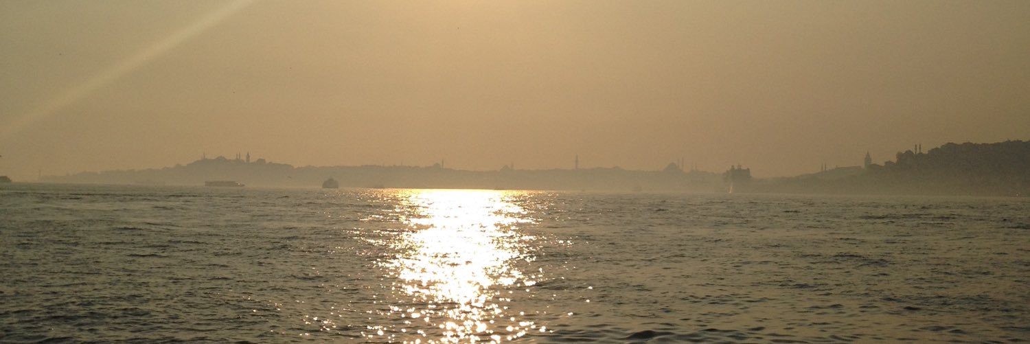 rujamiesses's profile banner image