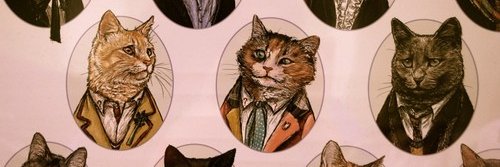 Viden banner