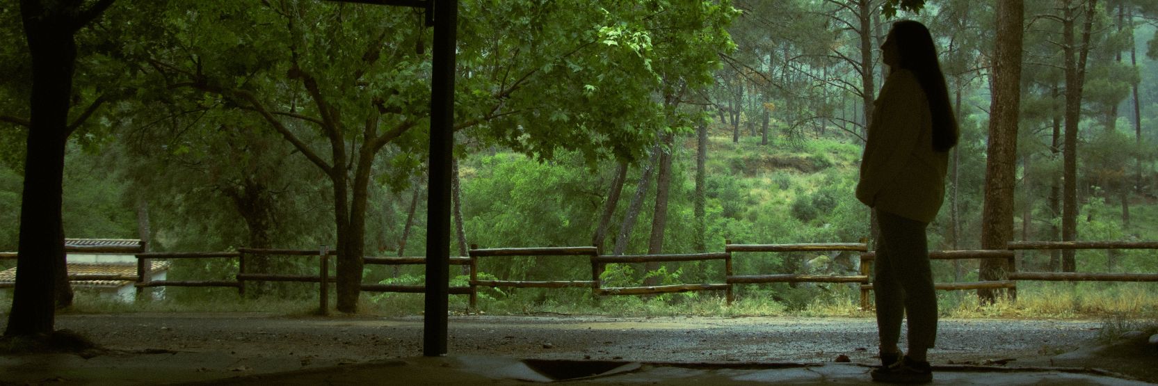 NataliaNmi's profile banner image