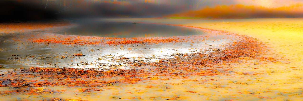 RootDigiMark's profile banner image