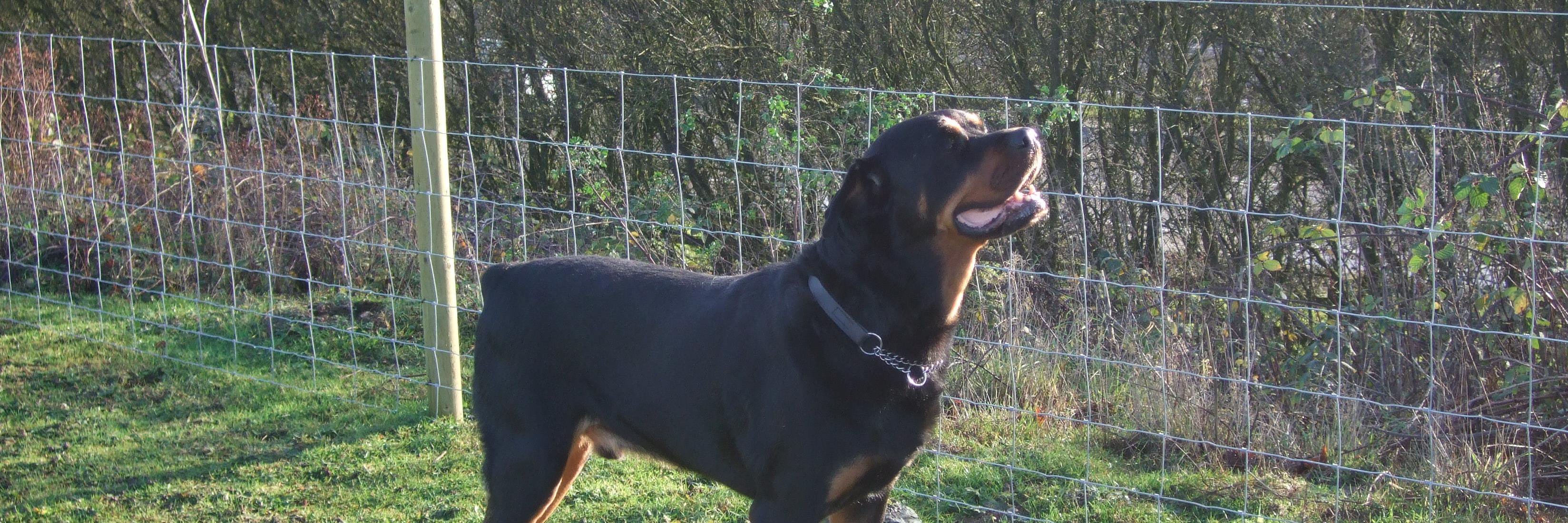 JaneinWoolpit's profile banner image