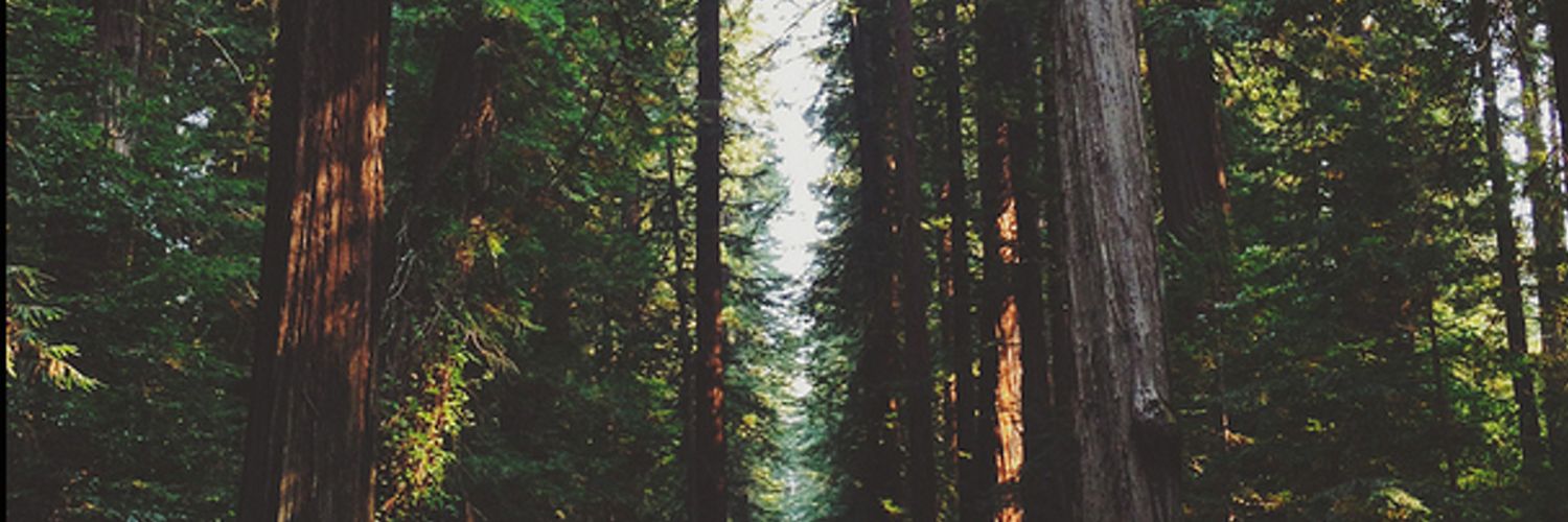 hipy__'s profile banner image