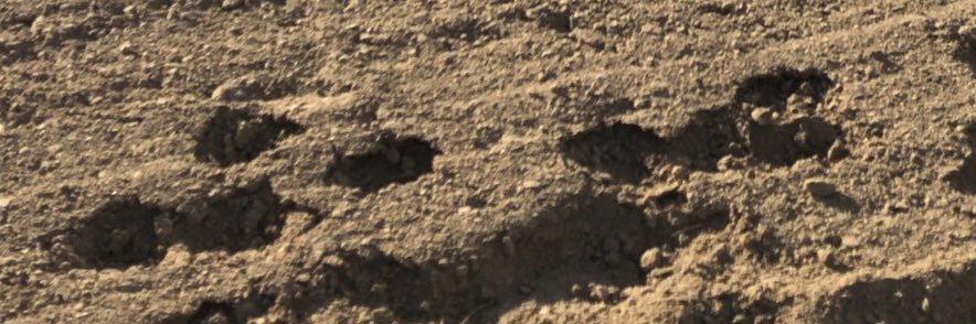 bananatips's profile banner image