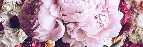 Samanta_Samii's profile banner image