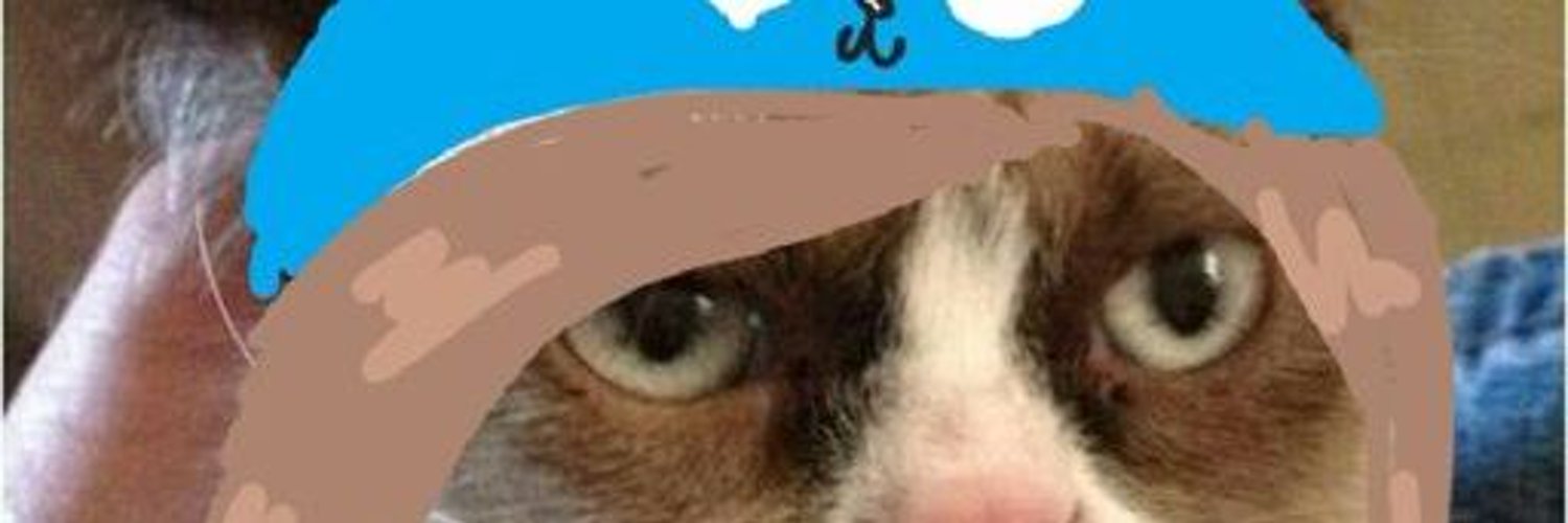 CatCloudd's profile banner image
