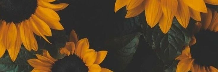 _estefaniajorge's profile banner image