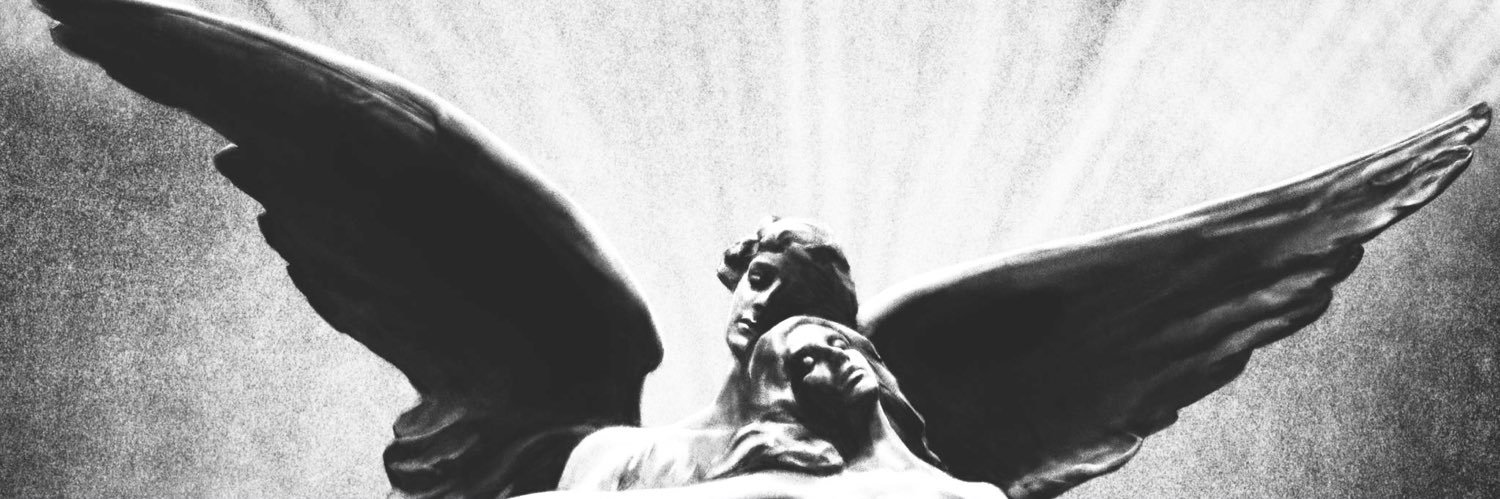 AL 🇦🇲 🤝🇵🇸 banner