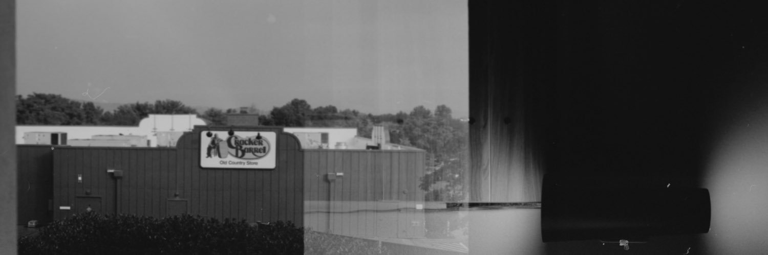 AL 🇦🇲 🤝🇵🇸 banner