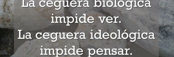 Yesid Mojica banner