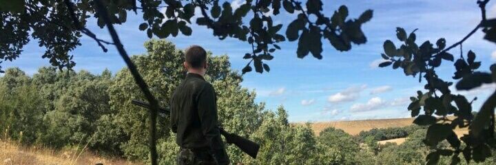 danivelasco21's profile banner image