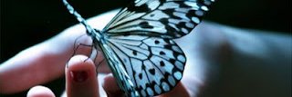 C@L banner