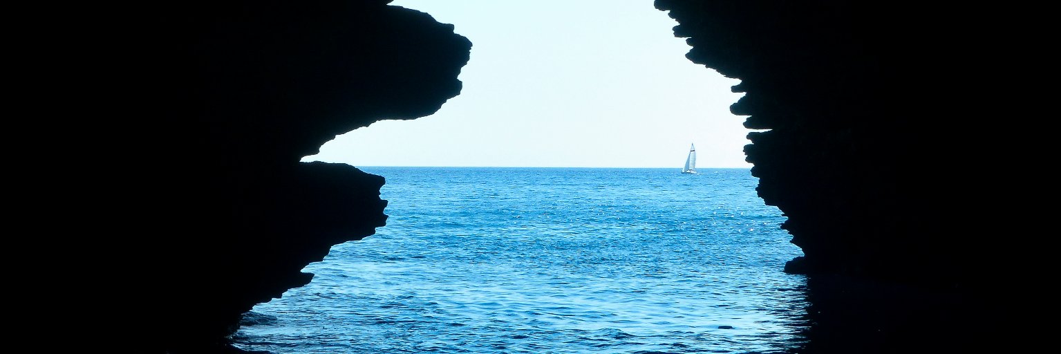 jmfalcucci's profile banner image