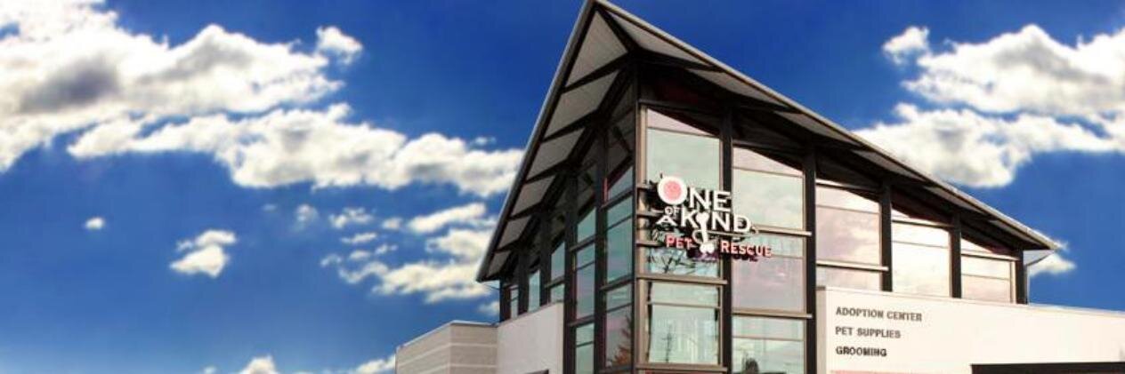 OneofAKindPetRescue banner