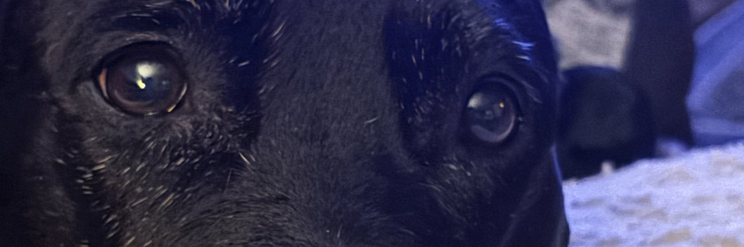 Juttyrox05's profile banner image