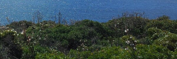 belll07 Profile Banner