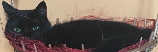 obserwujesobie Profile Banner