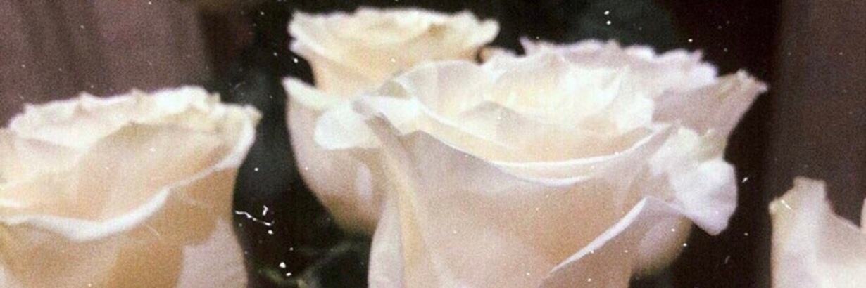 _misssdior's profile banner image