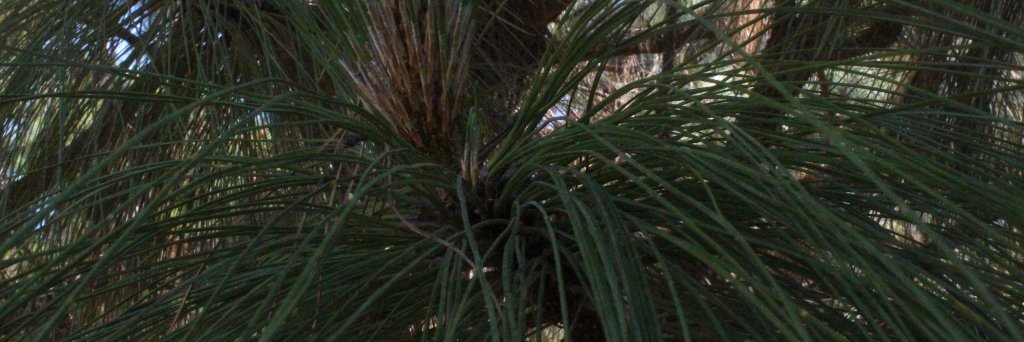 ccprobpa's profile banner image