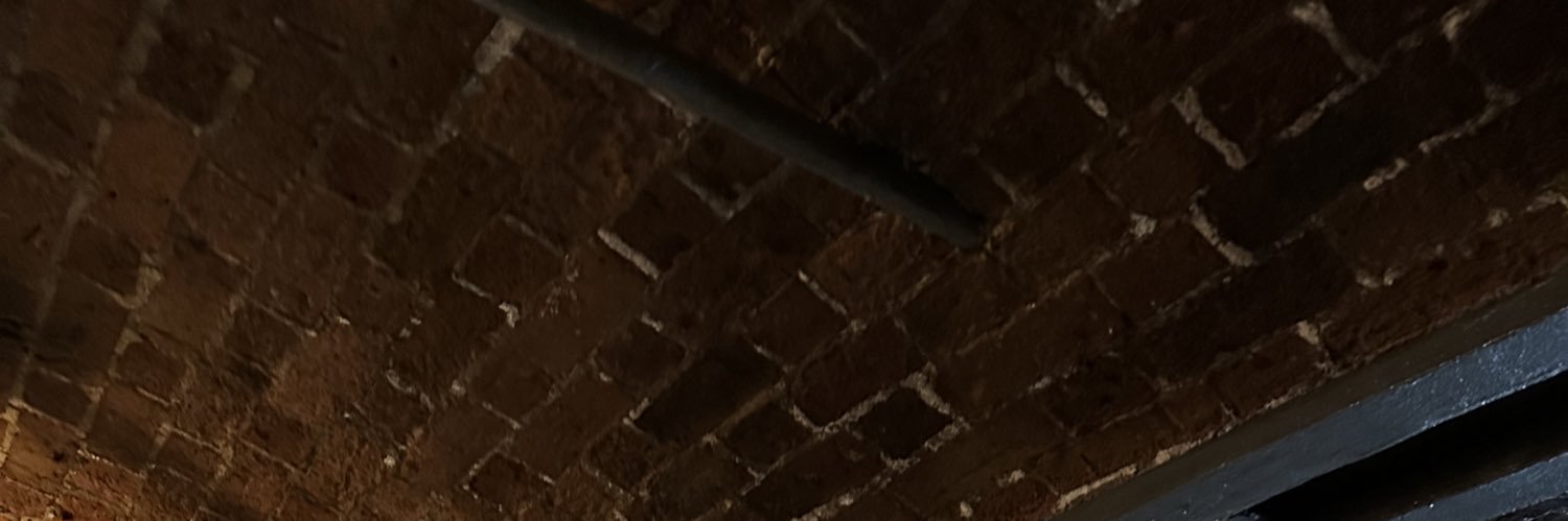 linzmcfarlane's profile banner image