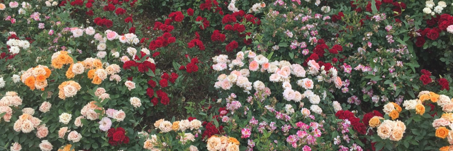 Eng123445's profile banner image