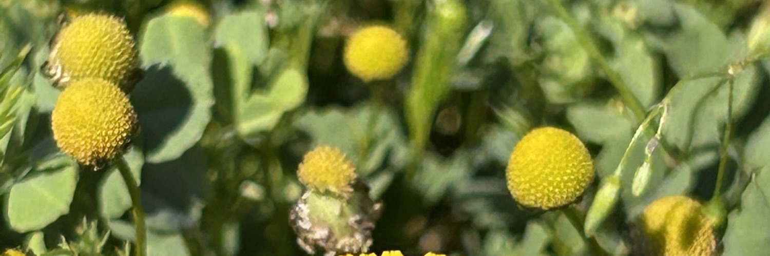 فارس الروقي banner