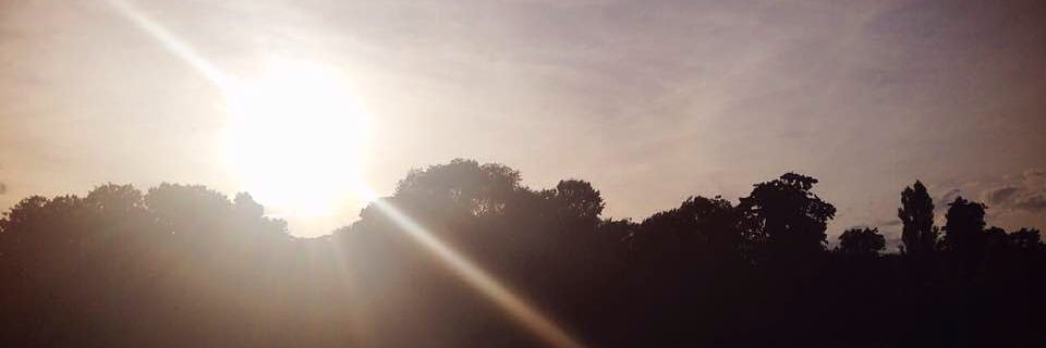jazzy8181's profile banner image