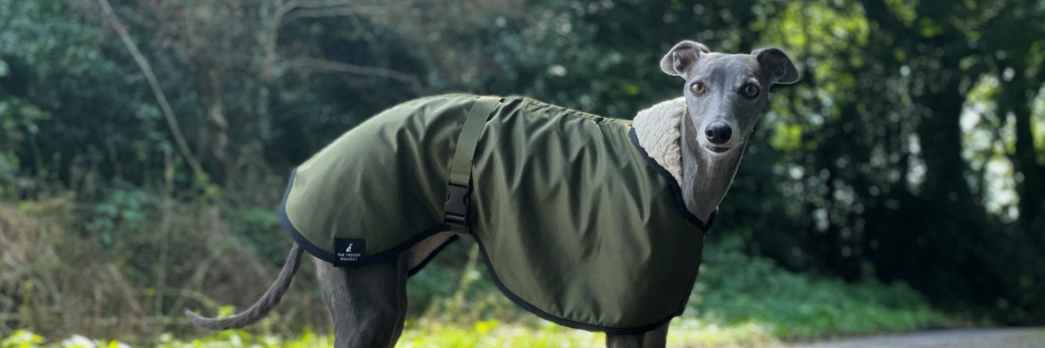 OwnerWhippet's profile banner image