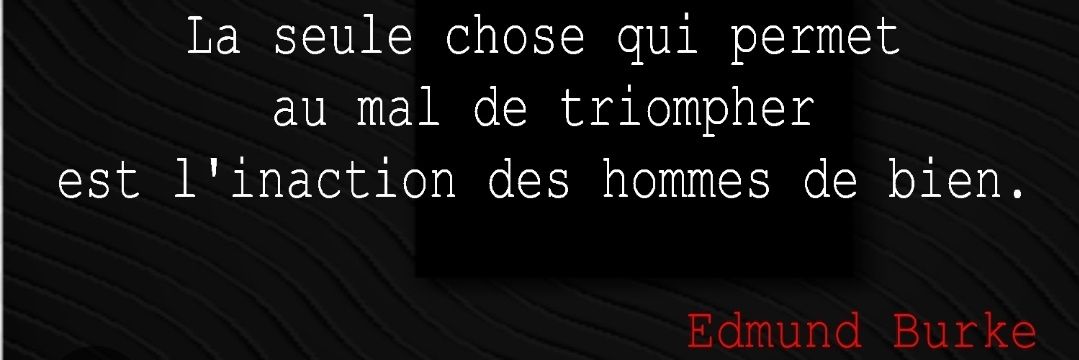 Dr Binbin ن 🇫🇷 banner