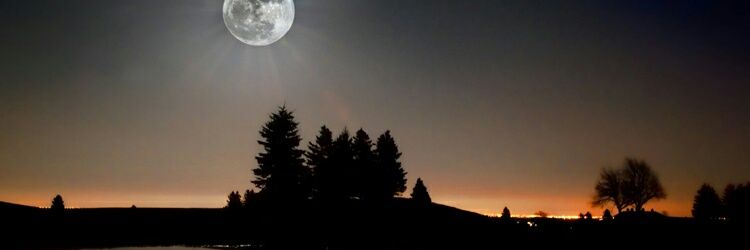 Zeynep_3453's profile banner image