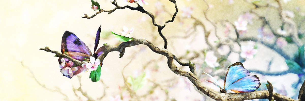 Mary Williams banner