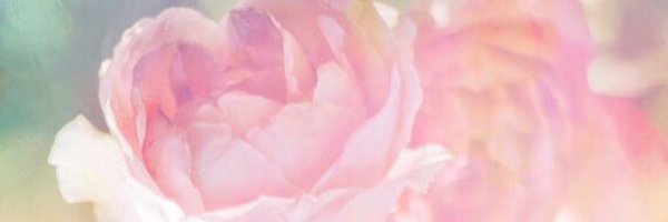 aeryuu Profile Banner