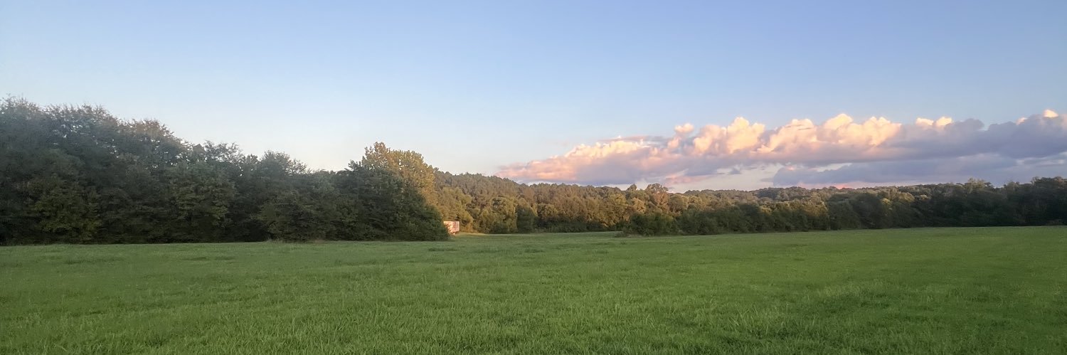 b7adee's profile banner image