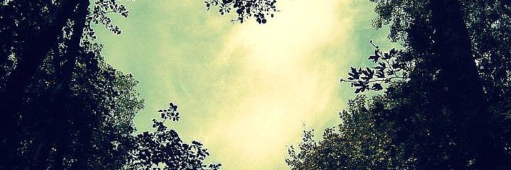 Michelle Klein banner