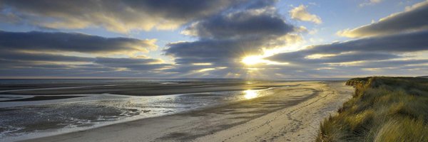 LimbRobin Profile Banner