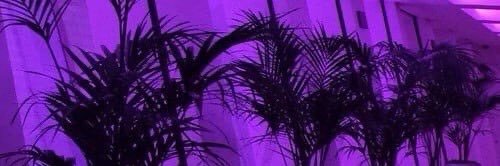 _demonicsoul_'s profile banner image
