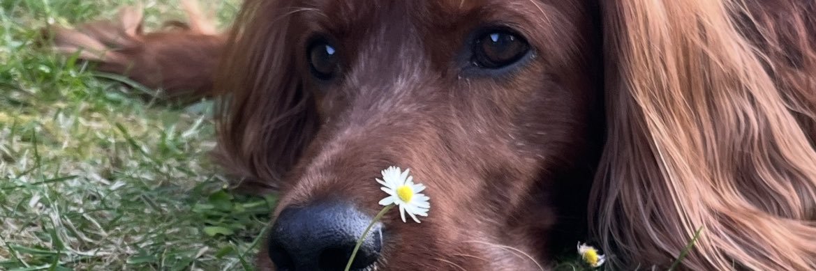kayleighmarnee's profile banner image