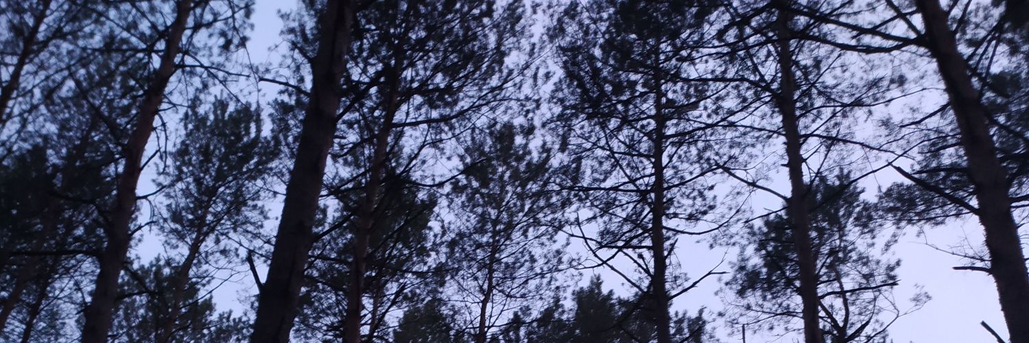 Natalha94's profile banner image