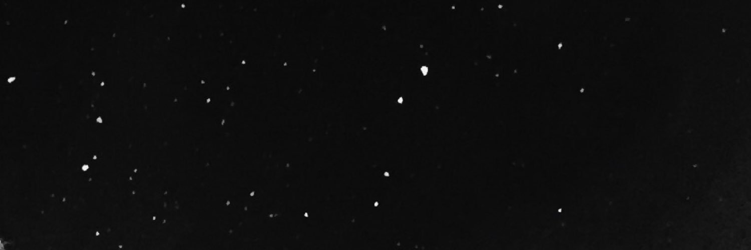 Alexxbusch's profile banner image