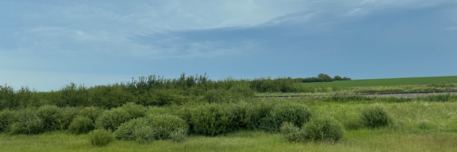 Planbang's profile banner image