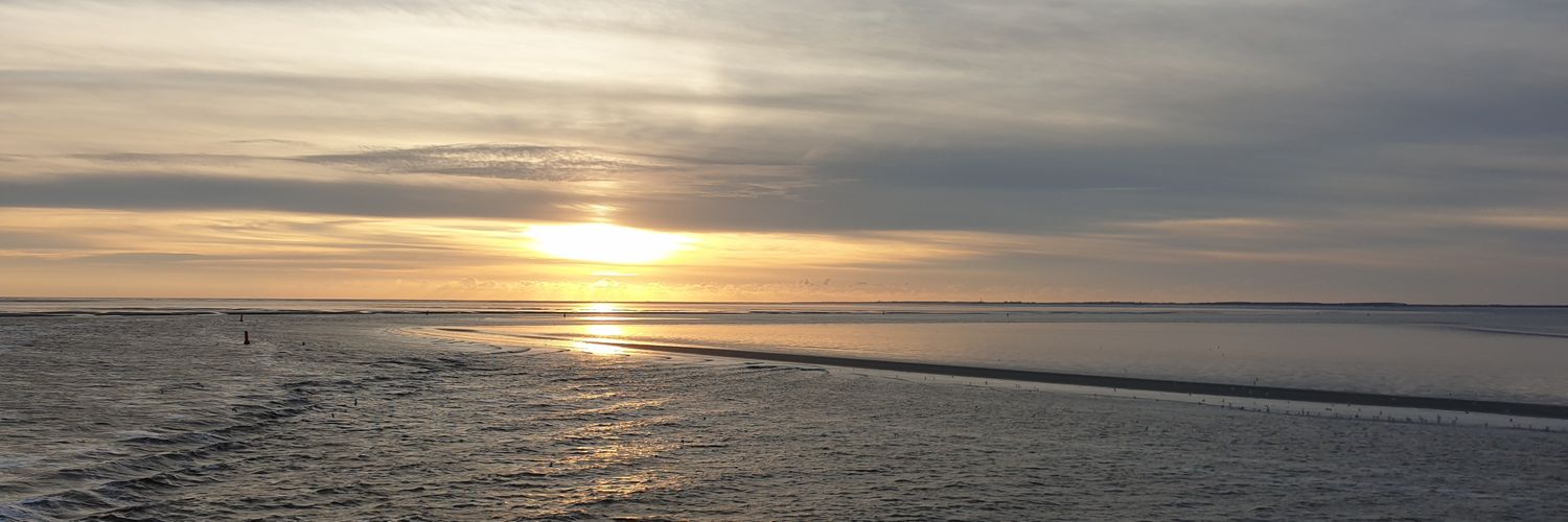 AnetteJansen2's profile banner image
