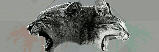 russydat's profile banner image