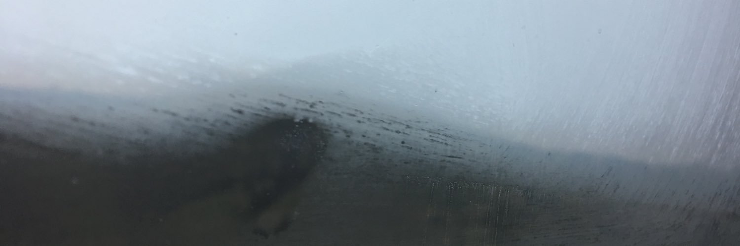 alyssnbrad's profile banner image