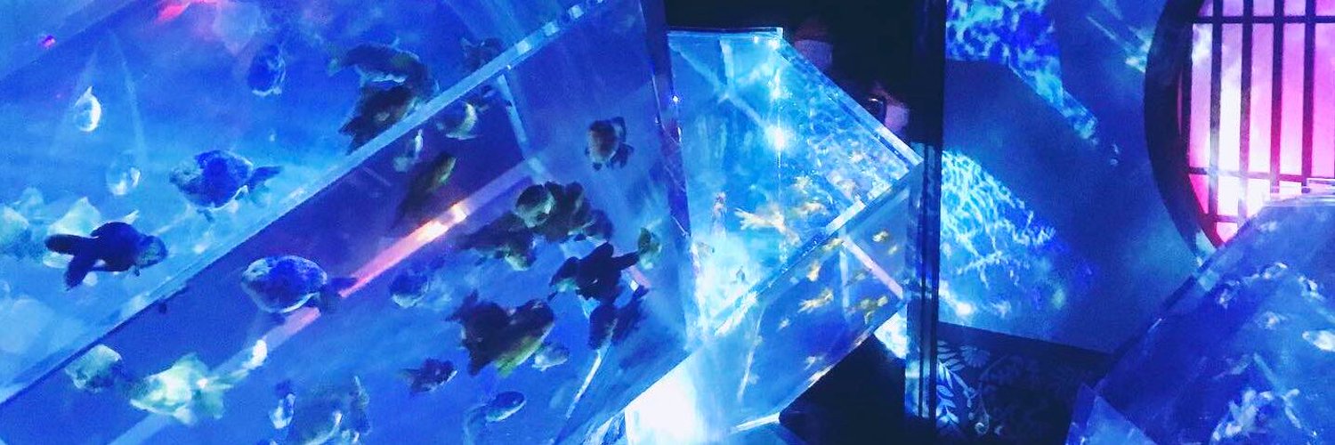 AkatsukiMoon__'s profile banner image